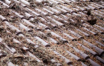 Landscove roof cleaning companies